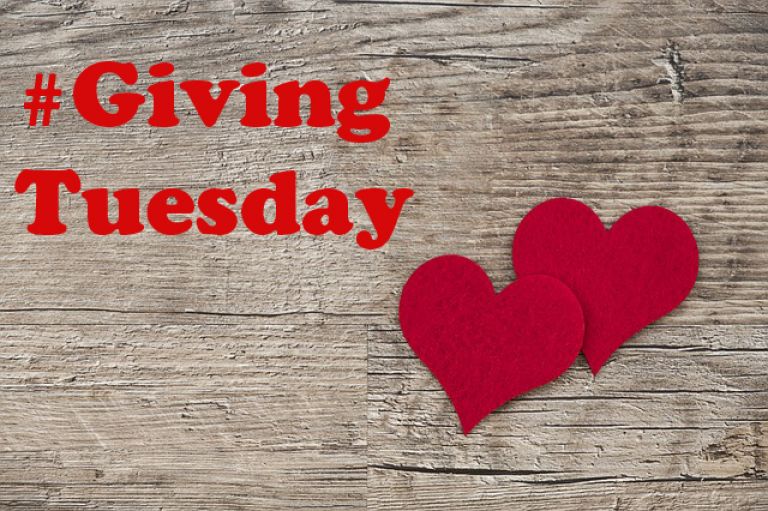 3 Tips to Prepare for a Successful Giving Tuesday Campaign